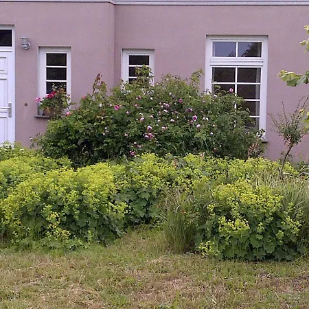 Poggenpuhl Ferienhaus