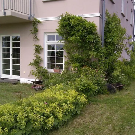 Poggenpuhl Wiek auf Rügen